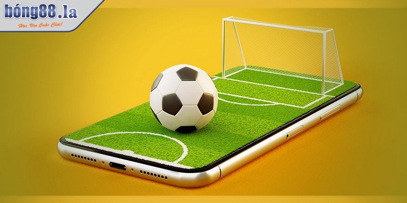 Cá cược dễ thắng, tối đa lợi nhuận cần xác định rõ kèo nào nên chơi