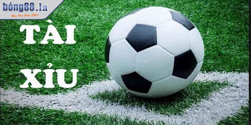 Bạn cần chú ý đến biến động tỷ lệ cược nhà cái trước khi đưa ra quyết định